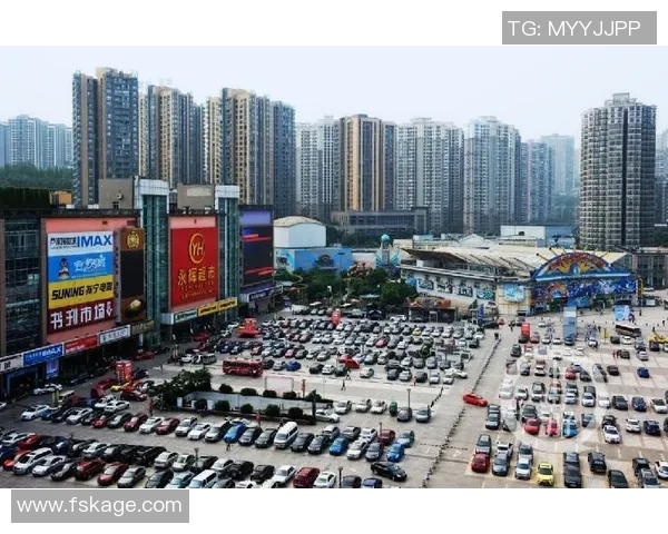 重庆排球队的奋战之路与竞技状态全景揭秘 重庆排球队的奋战之路与竞技状态全景揭秘