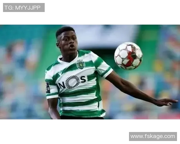 葡萄牙足球明星现状分析与未来发展展望