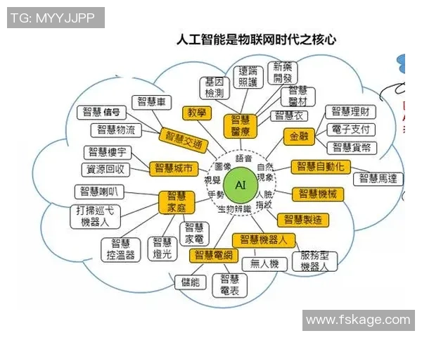 深圳网球队的转型之路与未来发展趋势深度解析 深圳网球队的转型之路与未来发展趋势深度解析