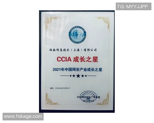 武汉网球队比赛经验揭秘：网球巨献背后的故事与成长之路