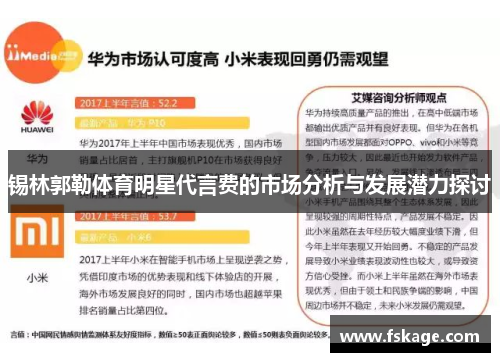 锡林郭勒体育明星代言费的市场分析与发展潜力探讨