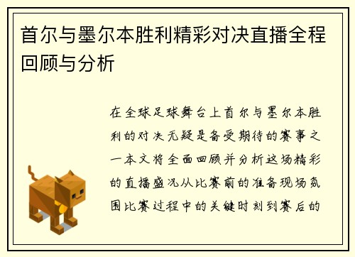 首尔与墨尔本胜利精彩对决直播全程回顾与分析